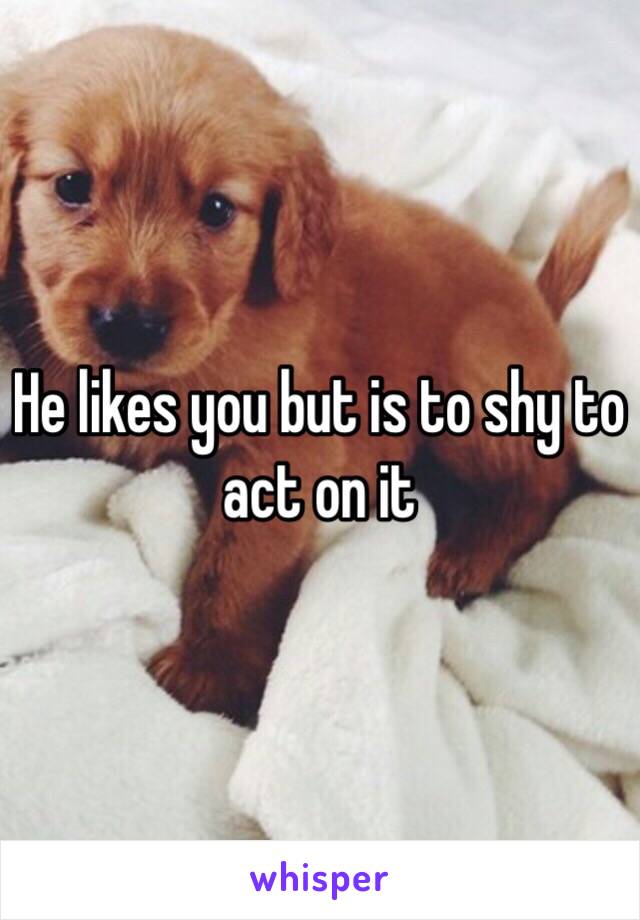 He likes you but is to shy to act on it