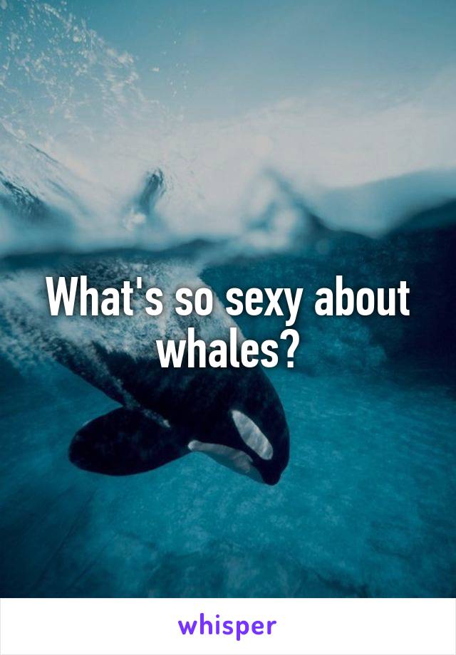 What's so sexy about whales?