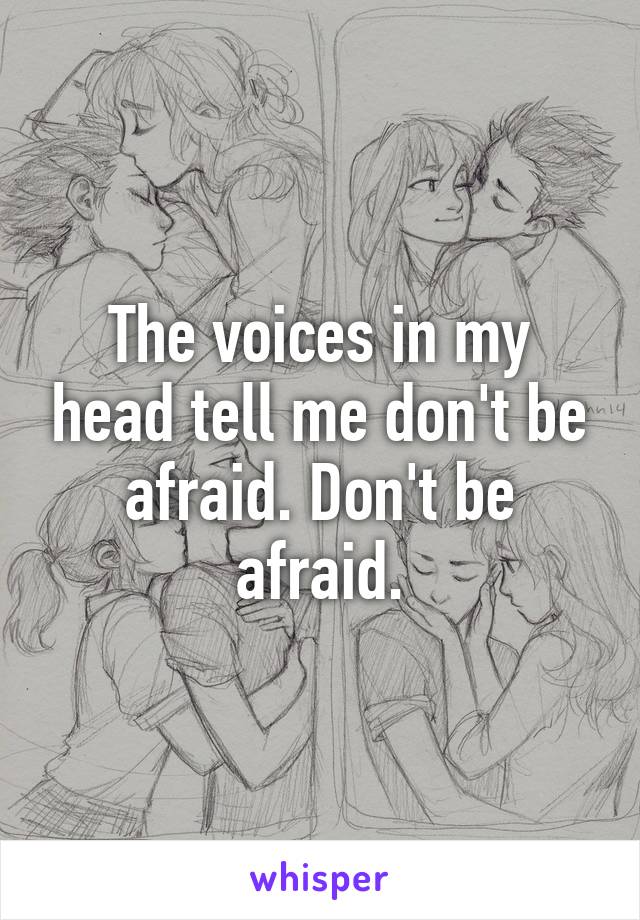 The voices in my head tell me don't be afraid. Don't be afraid.