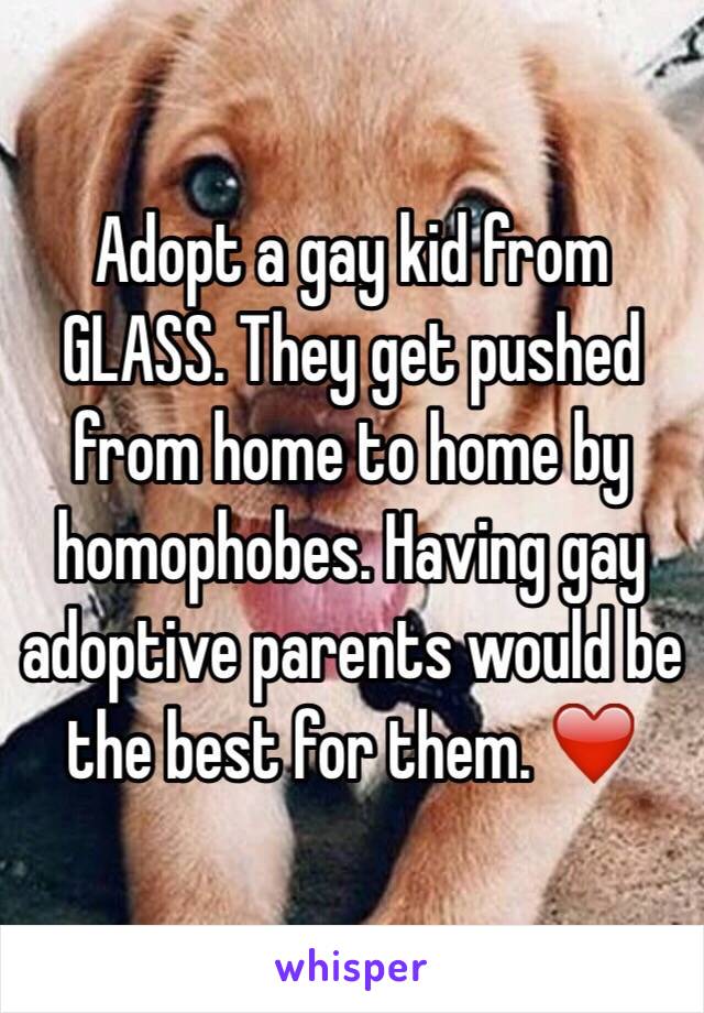 Adopt a gay kid from GLASS. They get pushed from home to home by homophobes. Having gay adoptive parents would be the best for them. ❤️