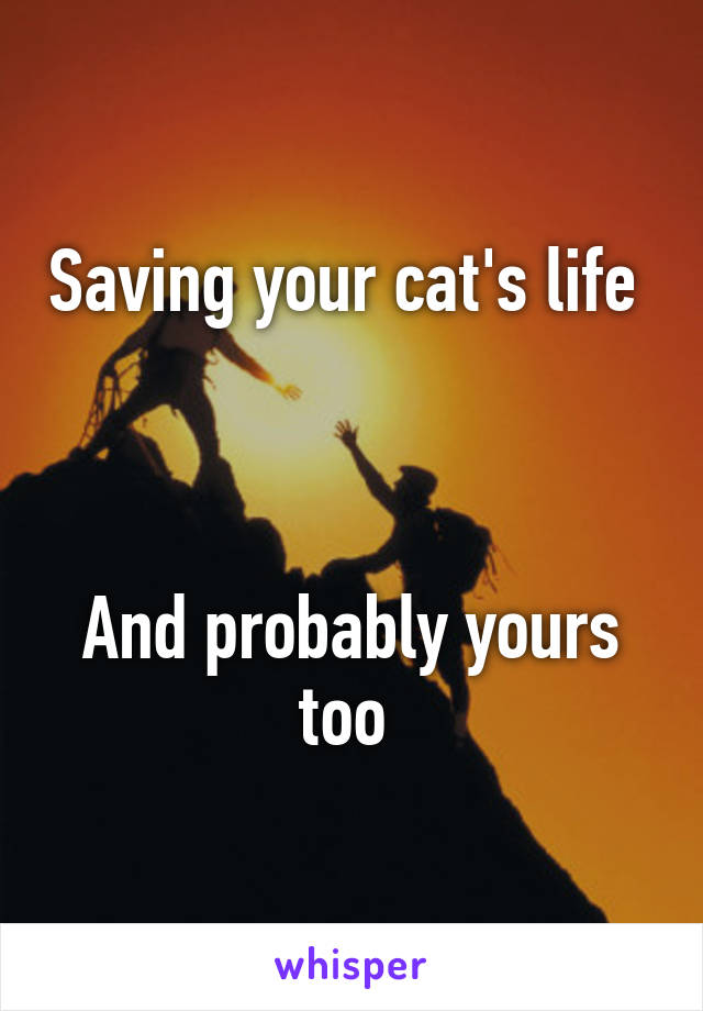 Saving your cat's life 



And probably yours too 