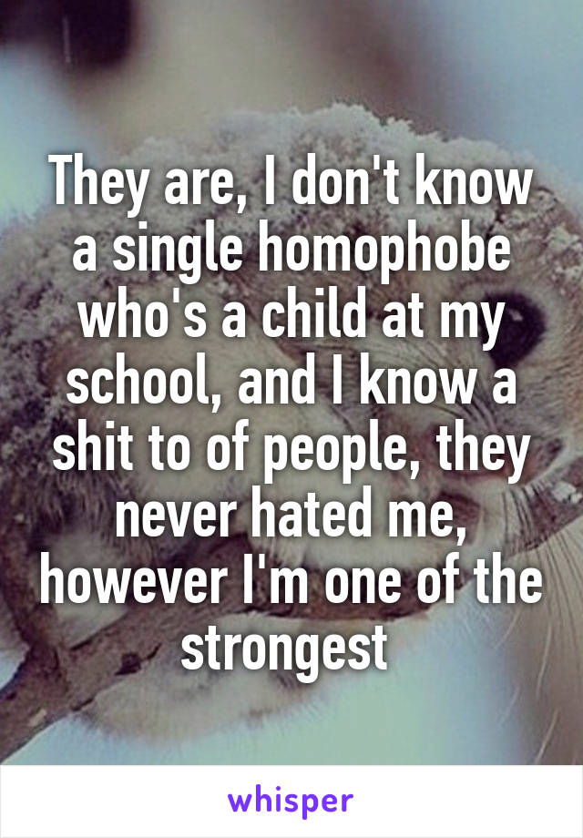 They are, I don't know a single homophobe who's a child at my school, and I know a shit to of people, they never hated me, however I'm one of the strongest 