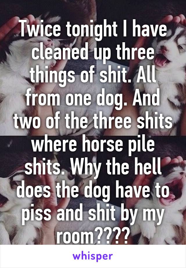 Twice tonight I have cleaned up three things of shit. All from one dog. And two of the three shits where horse pile shits. Why the hell does the dog have to piss and shit by my room????