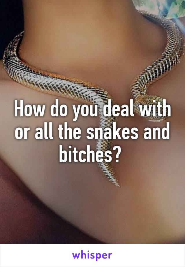 How do you deal with or all the snakes and bitches? 