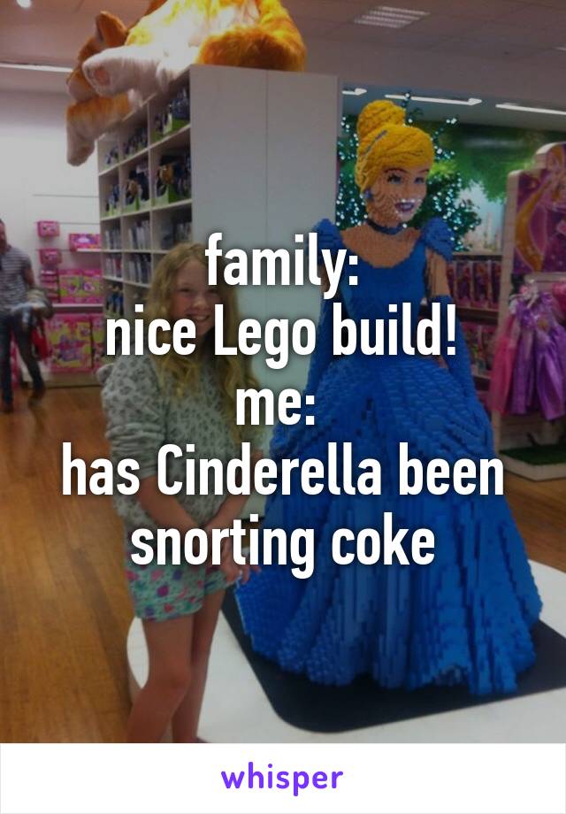 family:
nice Lego build!
me: 
has Cinderella been snorting coke