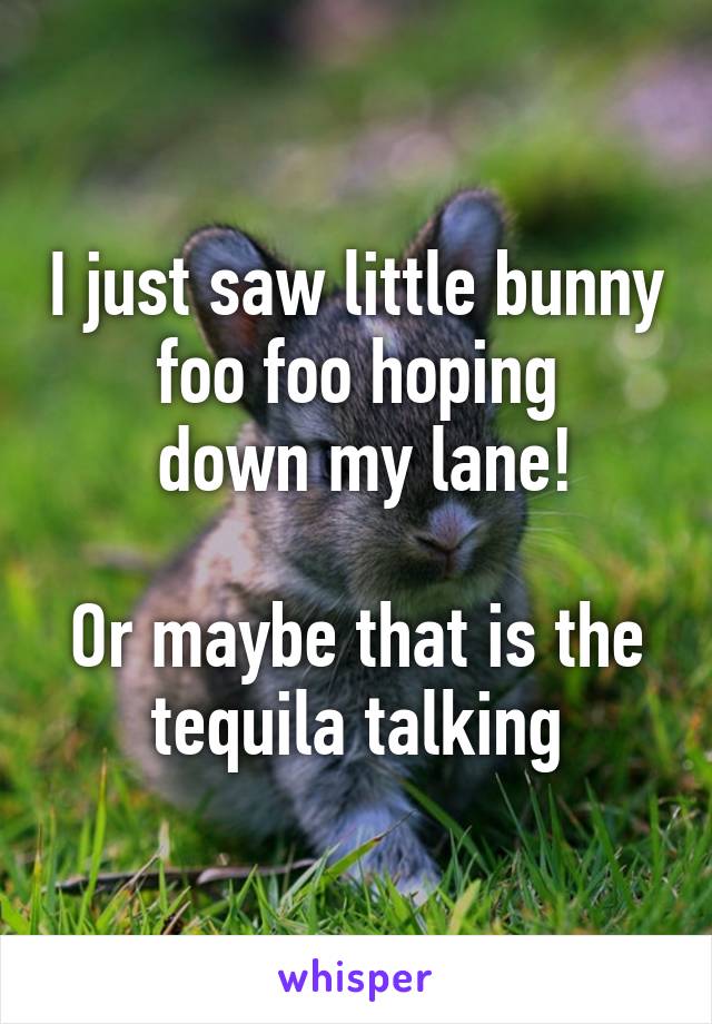 I just saw little bunny foo foo hoping
 down my lane!

Or maybe that is the tequila talking