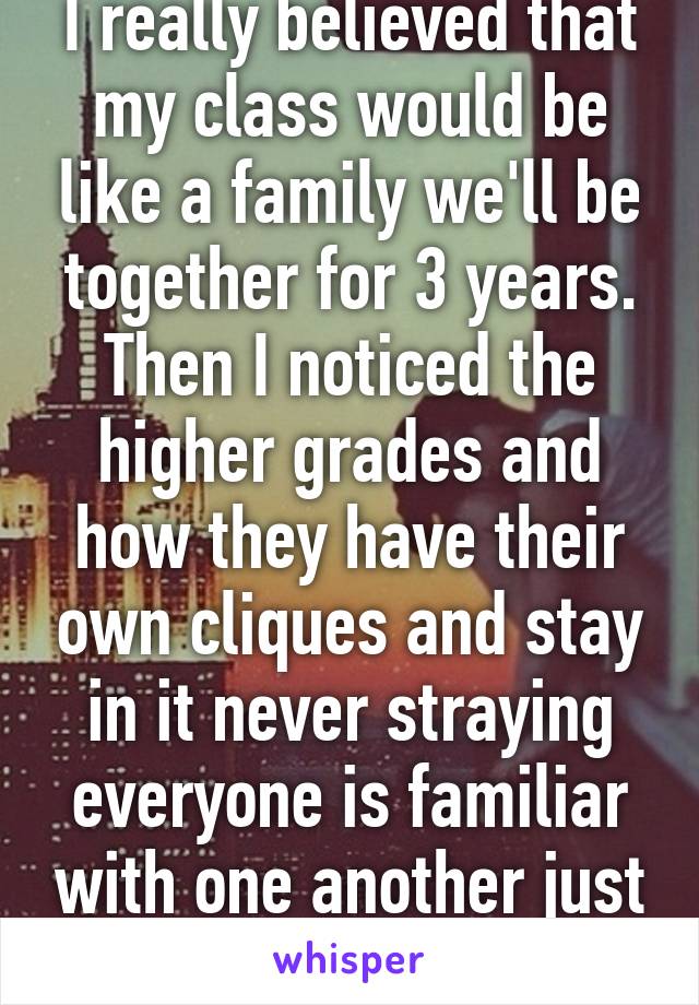 I really believed that my class would be like a family we'll be together for 3 years. Then I noticed the higher grades and how they have their own cliques and stay in it never straying everyone is familiar with one another just not close.