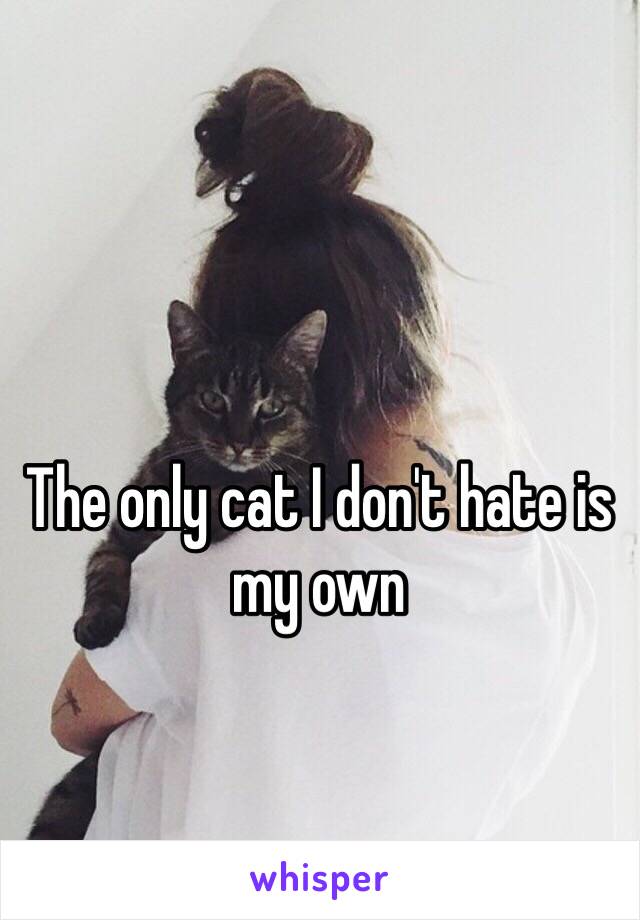 The only cat I don't hate is my own