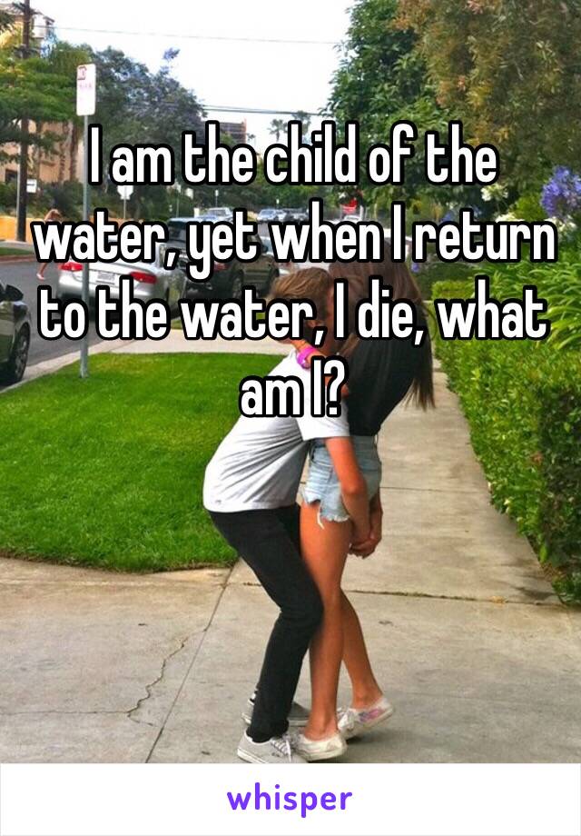 I am the child of the water, yet when I return to the water, I die, what am I?