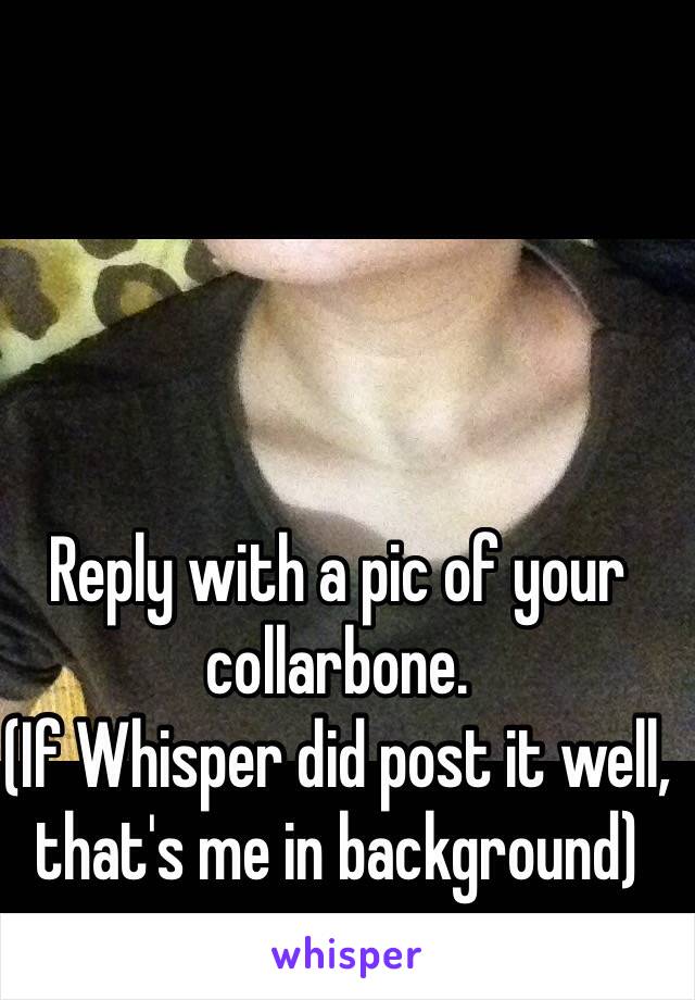 Reply with a pic of your collarbone.
(If Whisper did post it well, that's me in background)