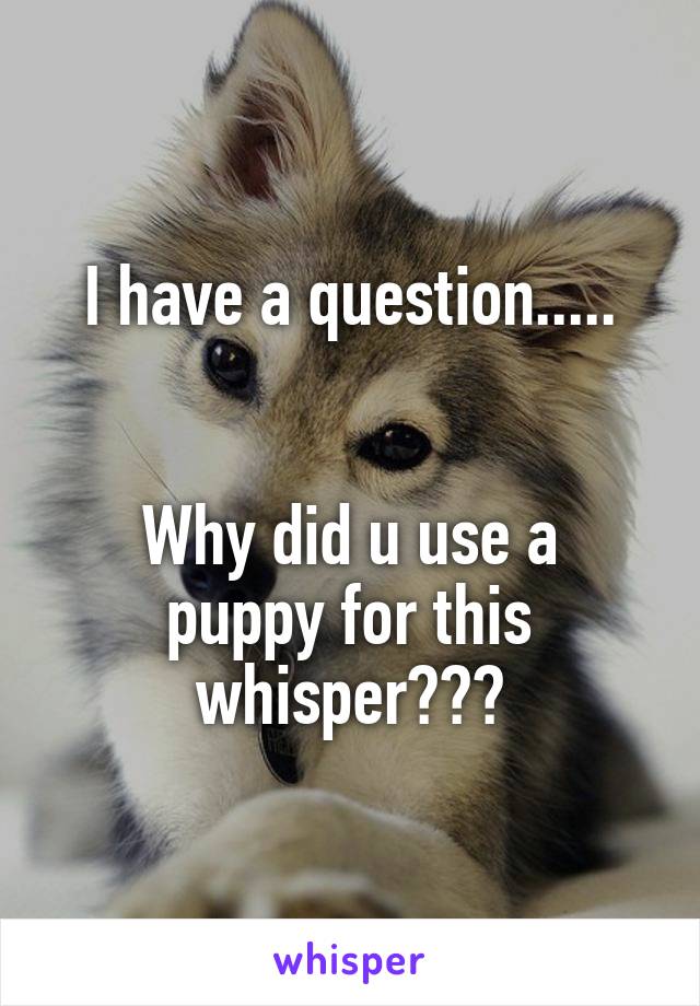 I have a question.....


Why did u use a puppy for this whisper???