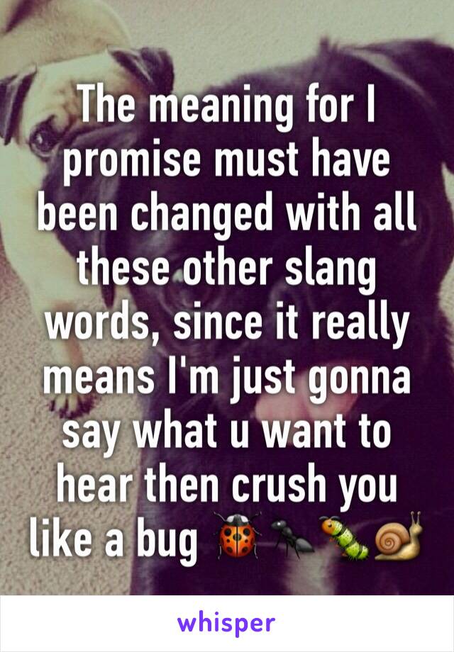 The meaning for I promise must have been changed with all these other slang words, since it really means I'm just gonna say what u want to hear then crush you like a bug 🐞🐜🐛🐌