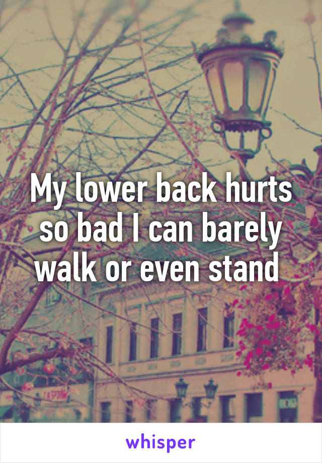 My lower back hurts so bad I can barely walk or even stand 