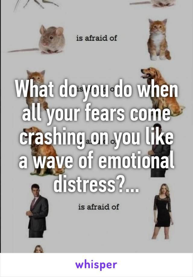 What do you do when all your fears come crashing on you like a wave of emotional distress?...