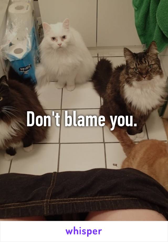 Don't blame you. 