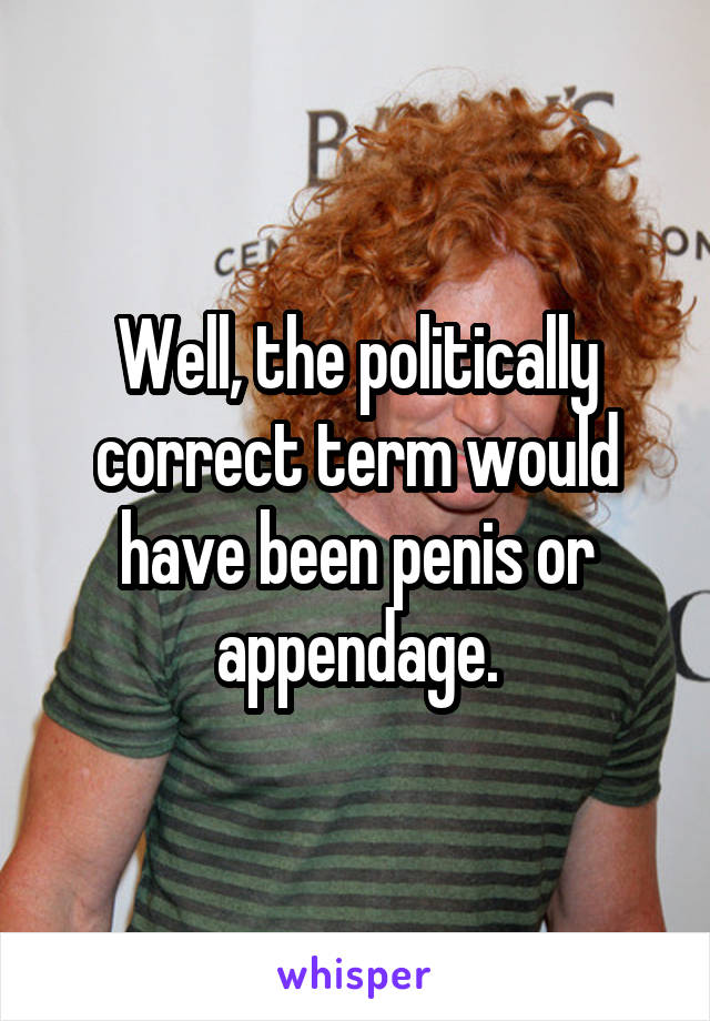 Well, the politically correct term would have been penis or appendage.