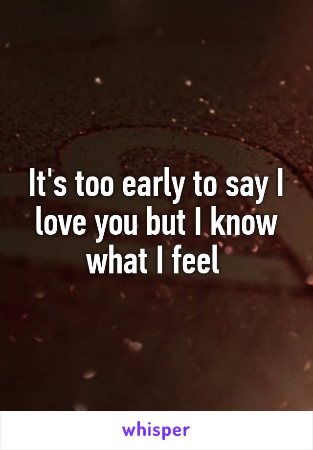 It's too early to say I love you but I know what I feel 