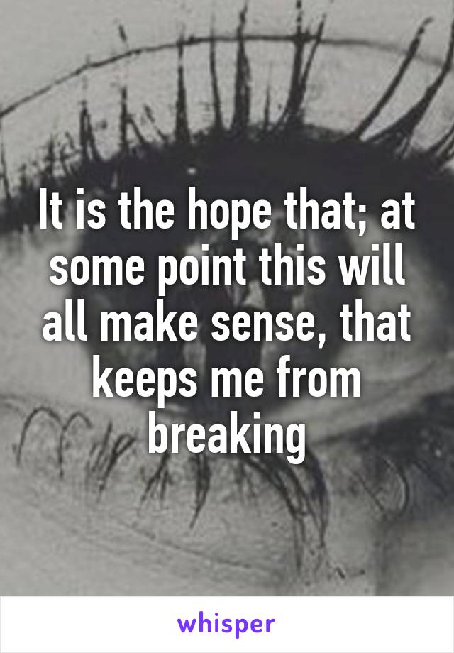 It is the hope that; at some point this will all make sense, that keeps me from breaking