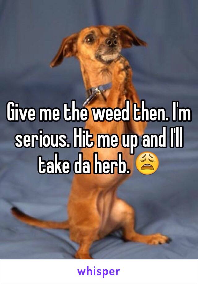 Give me the weed then. I'm serious. Hit me up and I'll take da herb. 😩