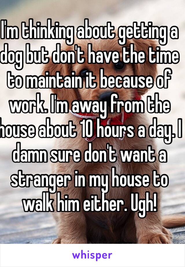 I'm thinking about getting a dog but don't have the time to maintain it because of work. I'm away from the house about 10 hours a day. I damn sure don't want a stranger in my house to walk him either. Ugh! 