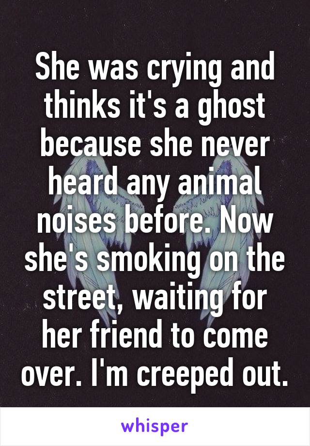 She was crying and thinks it's a ghost because she never heard any animal noises before. Now she's smoking on the street, waiting for her friend to come over. I'm creeped out.