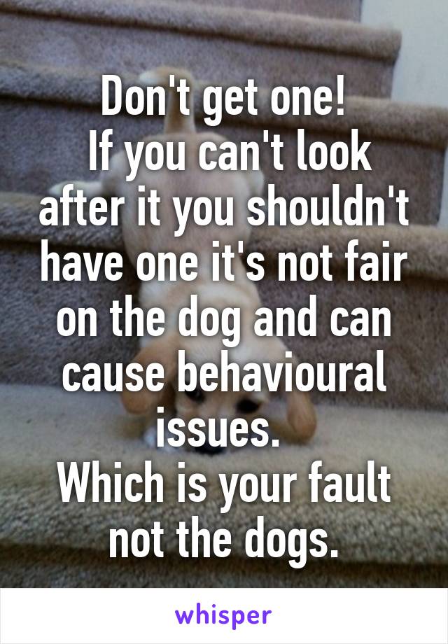 Don't get one!
 If you can't look after it you shouldn't have one it's not fair on the dog and can cause behavioural issues. 
Which is your fault not the dogs.