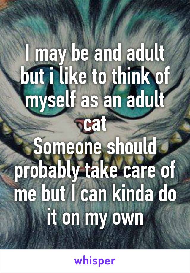 I may be and adult but i like to think of myself as an adult cat
Someone should probably take care of me but I can kinda do it on my own