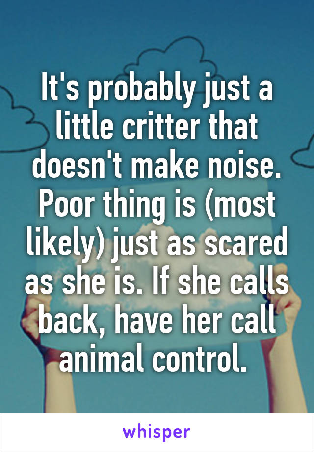 It's probably just a little critter that doesn't make noise. Poor thing is (most likely) just as scared as she is. If she calls back, have her call animal control. 