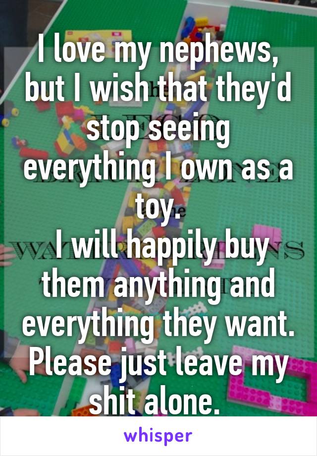 I love my nephews, but I wish that they'd stop seeing everything I own as a toy.
 I will happily buy them anything and everything they want. Please just leave my shit alone. 