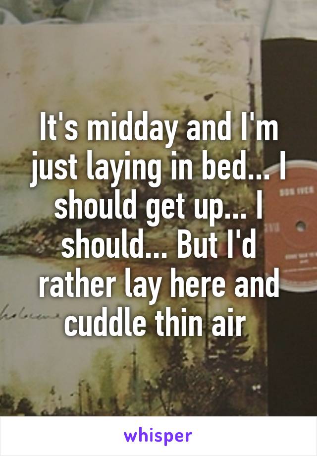 It's midday and I'm just laying in bed... I should get up... I should... But I'd rather lay here and cuddle thin air 