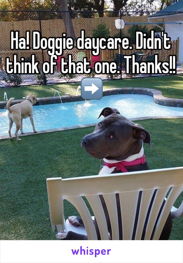 Ha! Doggie daycare. Didn't think of that one. Thanks!!➡️