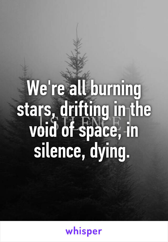 We're all burning stars, drifting in the void of space, in silence, dying. 