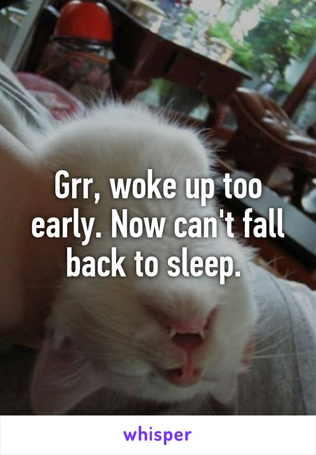 Grr, woke up too early. Now can't fall back to sleep. 