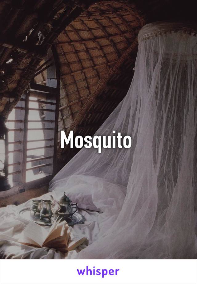 Mosquito 