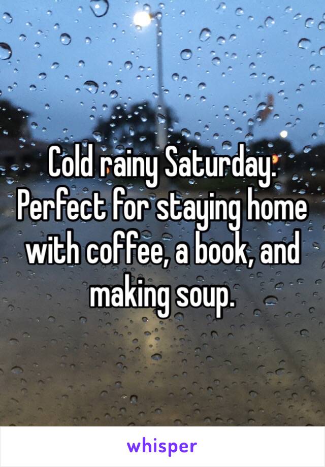 Cold rainy Saturday. Perfect for staying home with coffee, a book, and making soup. 