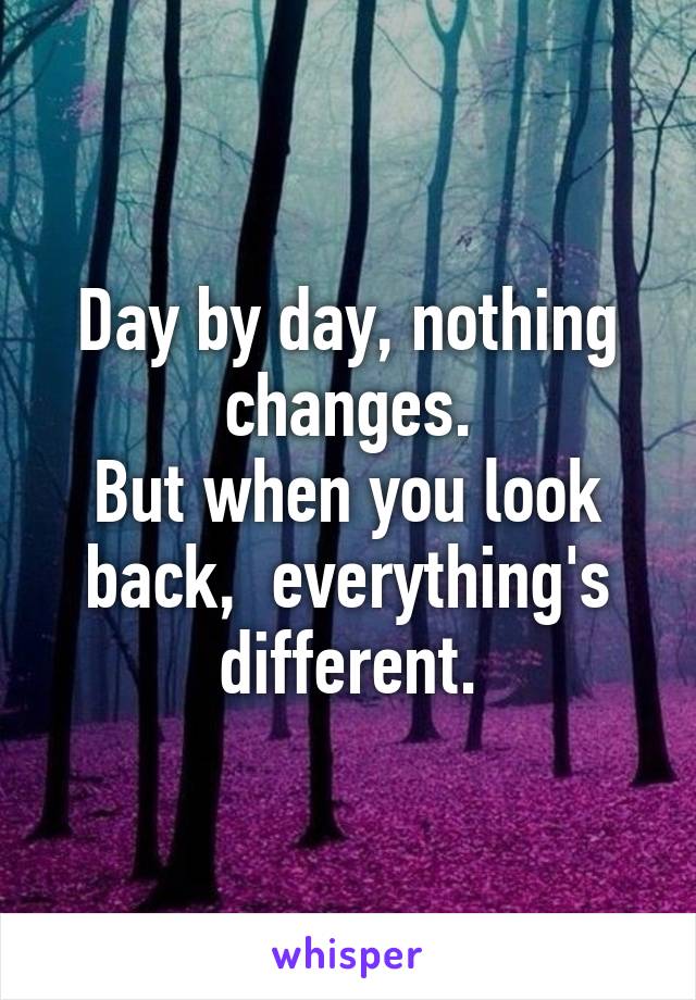 Day by day, nothing changes.
But when you look back,  everything's different.