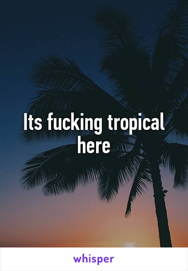 Its fucking tropical here