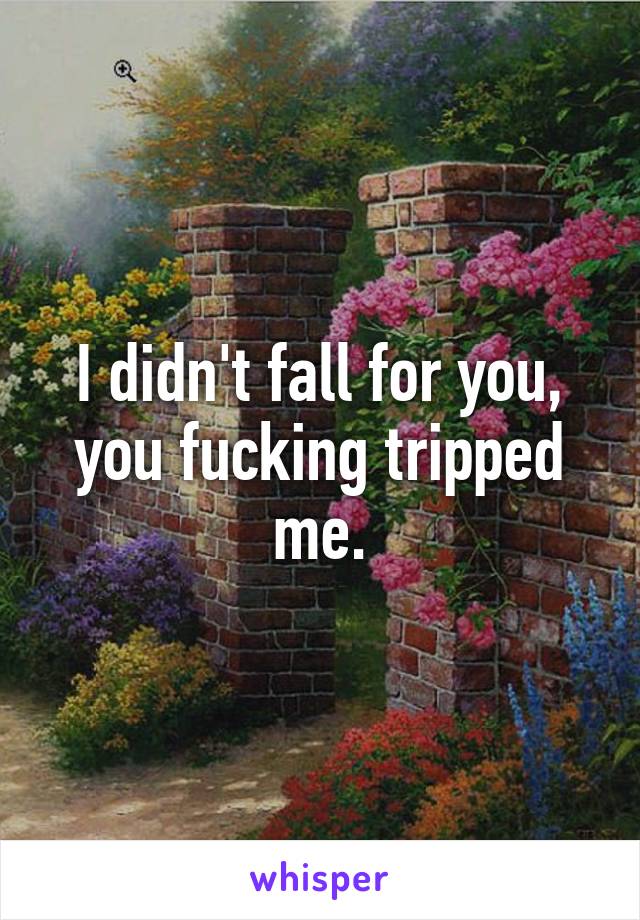 I didn't fall for you, you fucking tripped me.