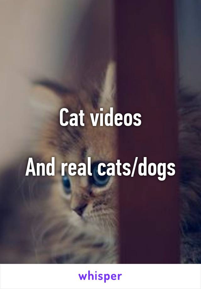 Cat videos

And real cats/dogs