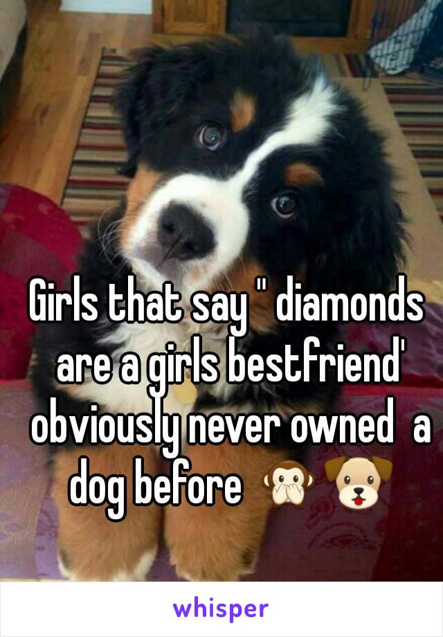 Girls that say " diamonds are a girls bestfriend' obviously never owned  a dog before 🙊🐶