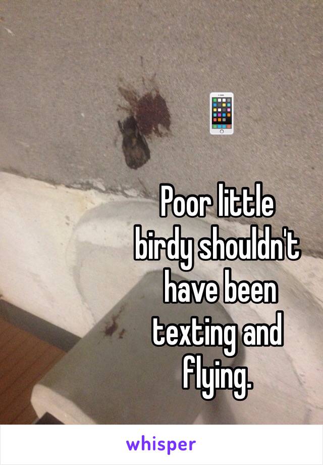 

 📱

Poor little 
birdy shouldn't
 have been 
texting and 
flying.