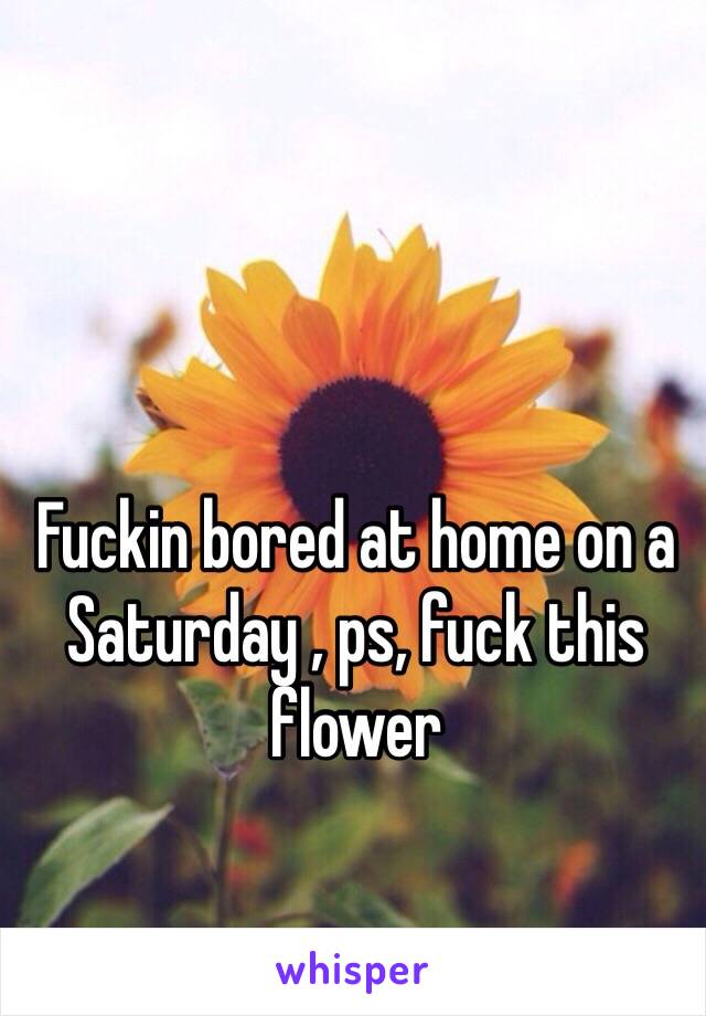 Fuckin bored at home on a Saturday , ps, fuck this flower