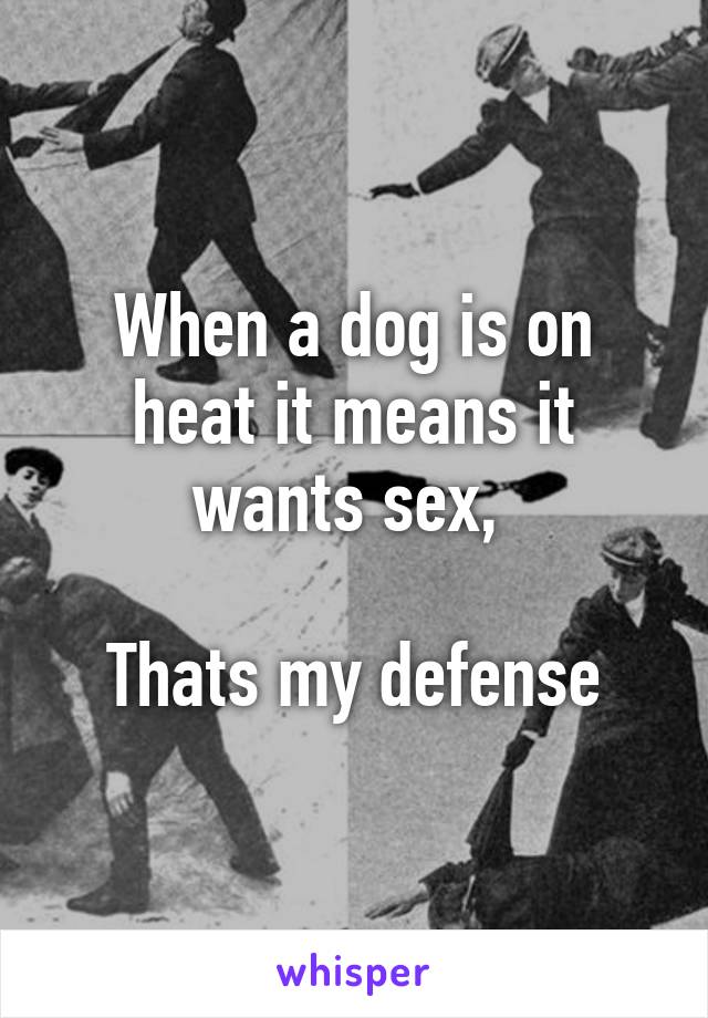 When a dog is on heat it means it wants sex, 

Thats my defense