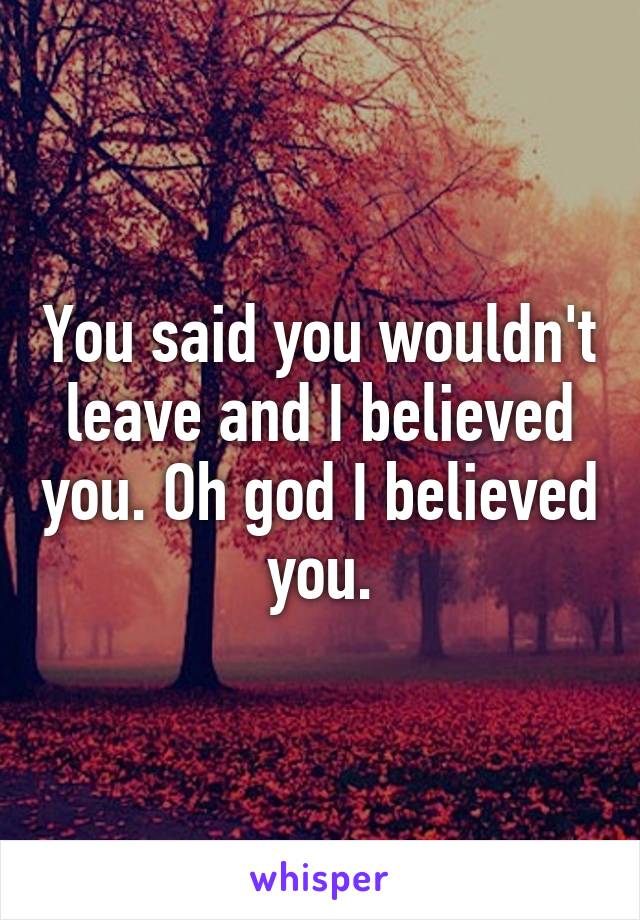 You said you wouldn't leave and I believed you. Oh god I believed you.