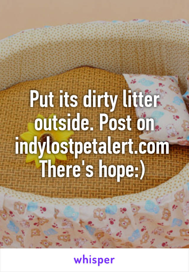 Put its dirty litter outside. Post on indylostpetalert.com 
There's hope:) 