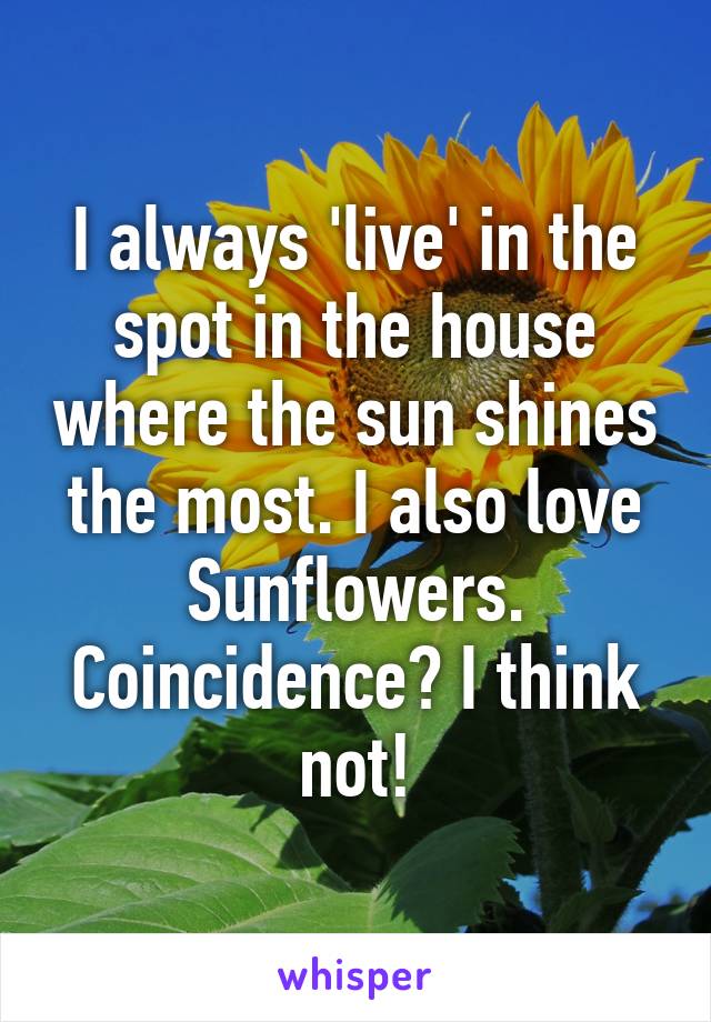 I always 'live' in the spot in the house where the sun shines the most. I also love Sunflowers. Coincidence? I think not!