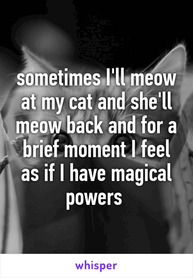 sometimes I'll meow at my cat and she'll meow back and for a brief moment I feel as if I have magical powers 