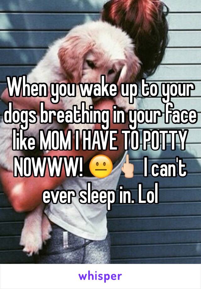 When you wake up to your dogs breathing in your face like MOM I HAVE TO POTTY NOWWW! 😐🖕🏻 I can't ever sleep in. Lol 