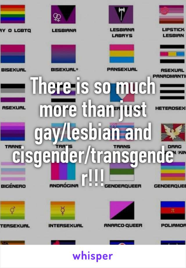 There is so much more than just gay/lesbian and cisgender/transgender!!!