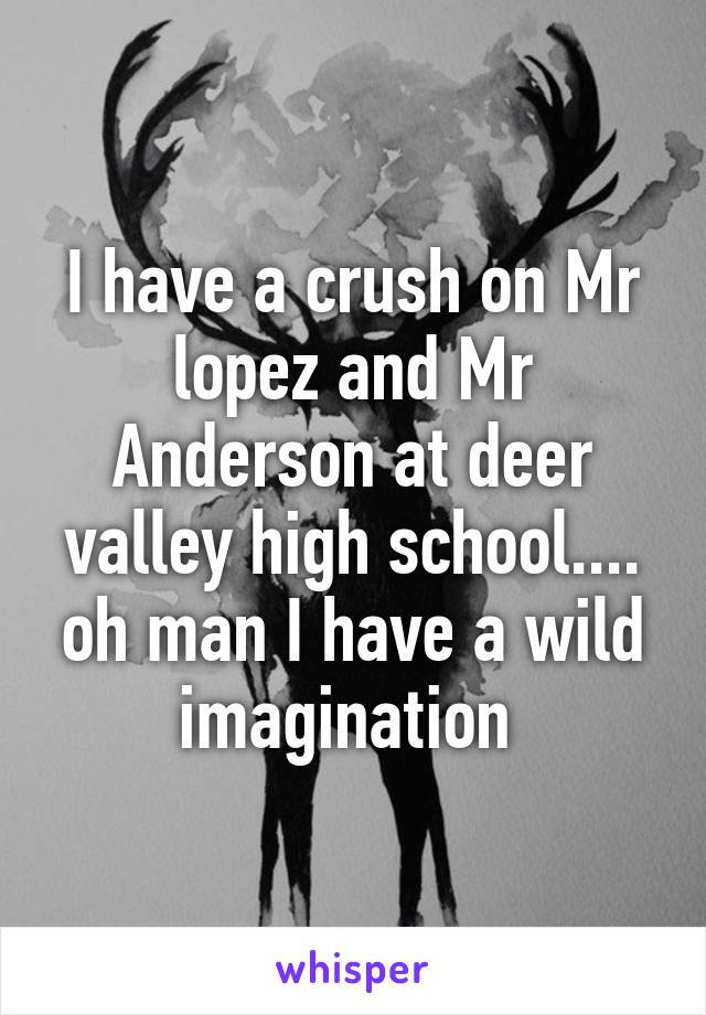 I have a crush on Mr lopez and Mr Anderson at deer valley high school.... oh man I have a wild imagination 